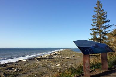 Sandee Dungeness Recreation Area