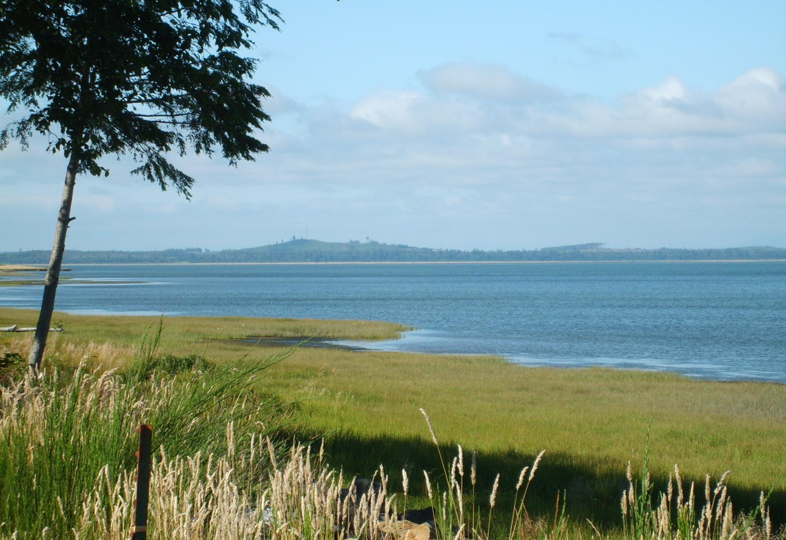 Sandee - HomePage / Hoquiam