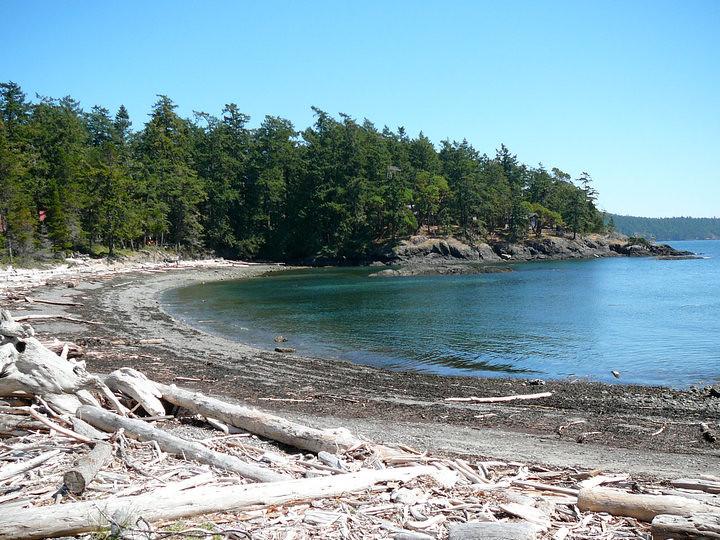 Sandee - HomePage / Shaw Island