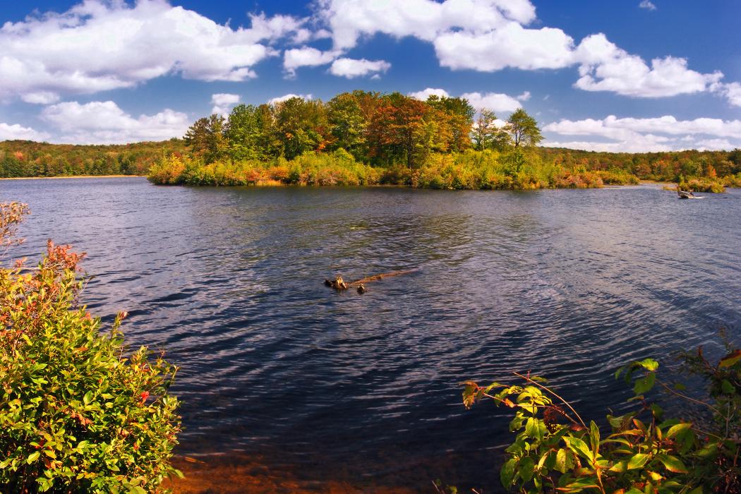 Sandee Gouldsboro State Park