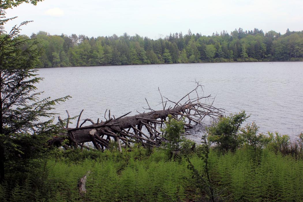 Sandee Promised Land State Park