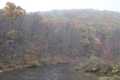 Sandee Laurel Hill State Park