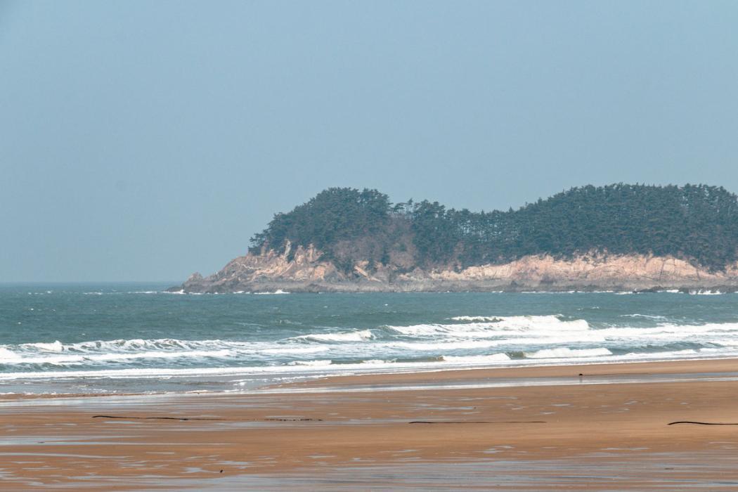 Sandee Mallipo Beach