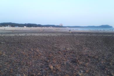 Sandee Kkotji Beach