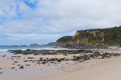 Sandee Bushranger Bay