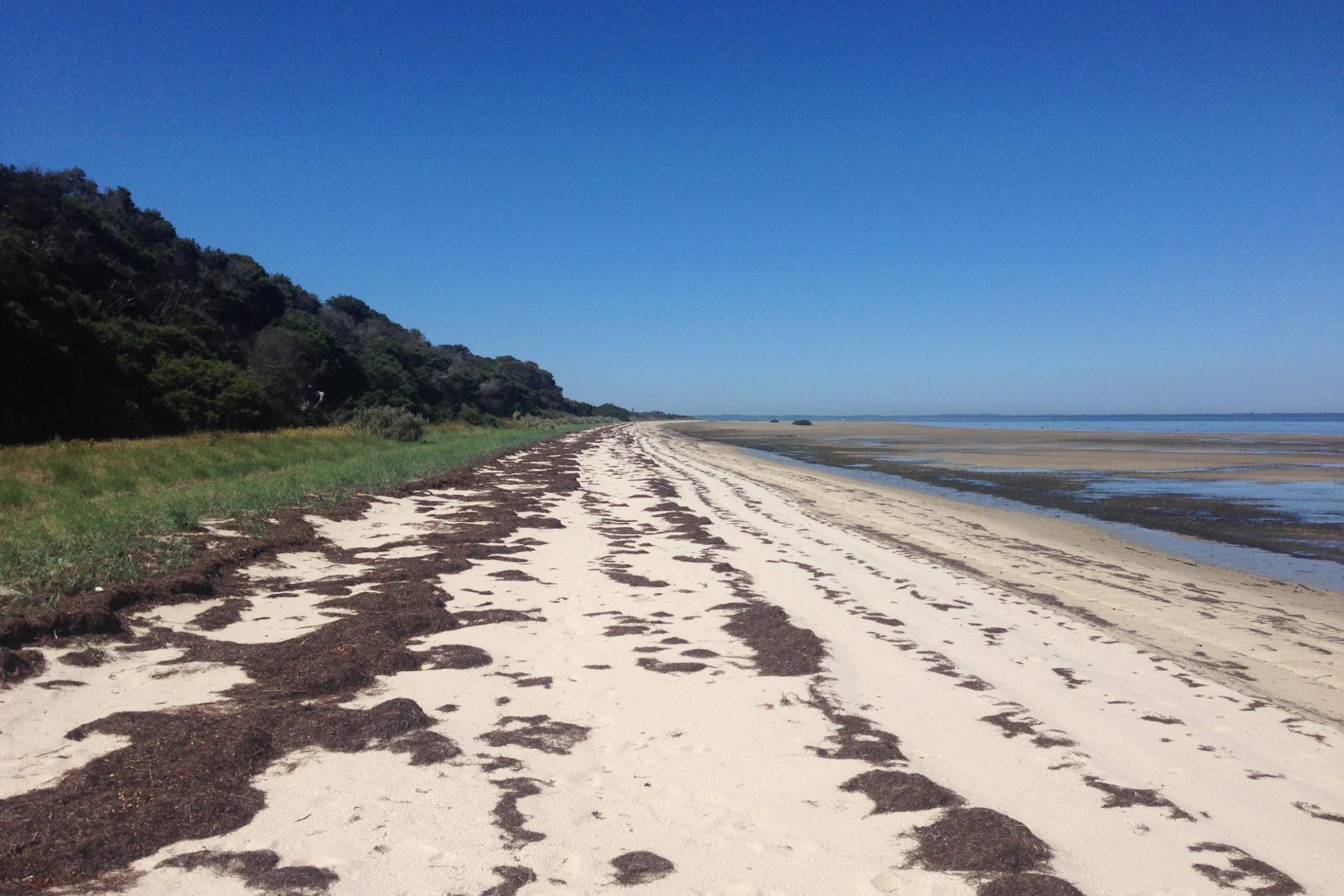 French Island Photo - Sandee