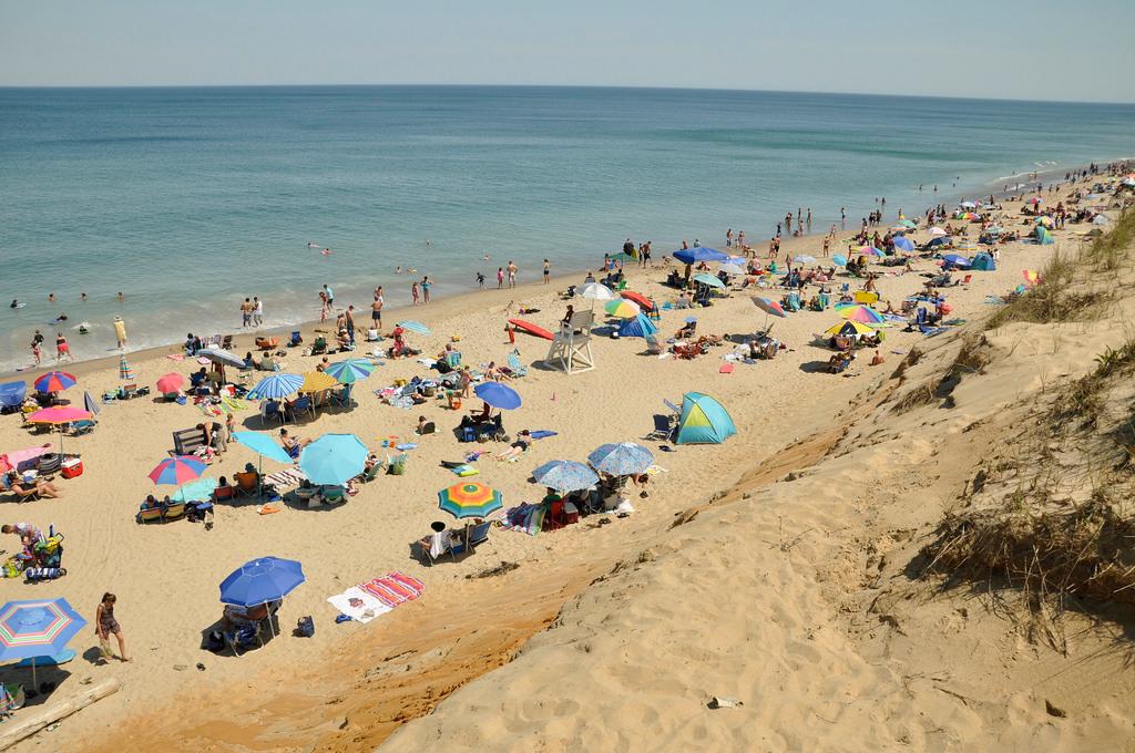 Sandee - HomePage / Wellfleet