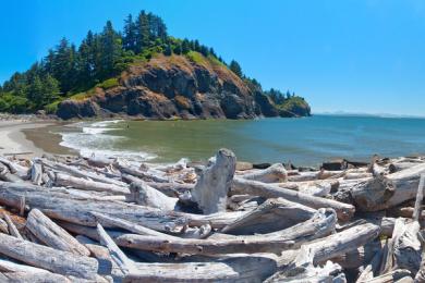 Sandee Cape Disappointment State Park