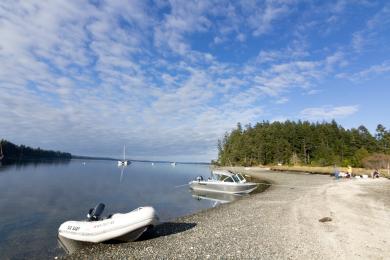 Sandee Jarrell Cove State Park