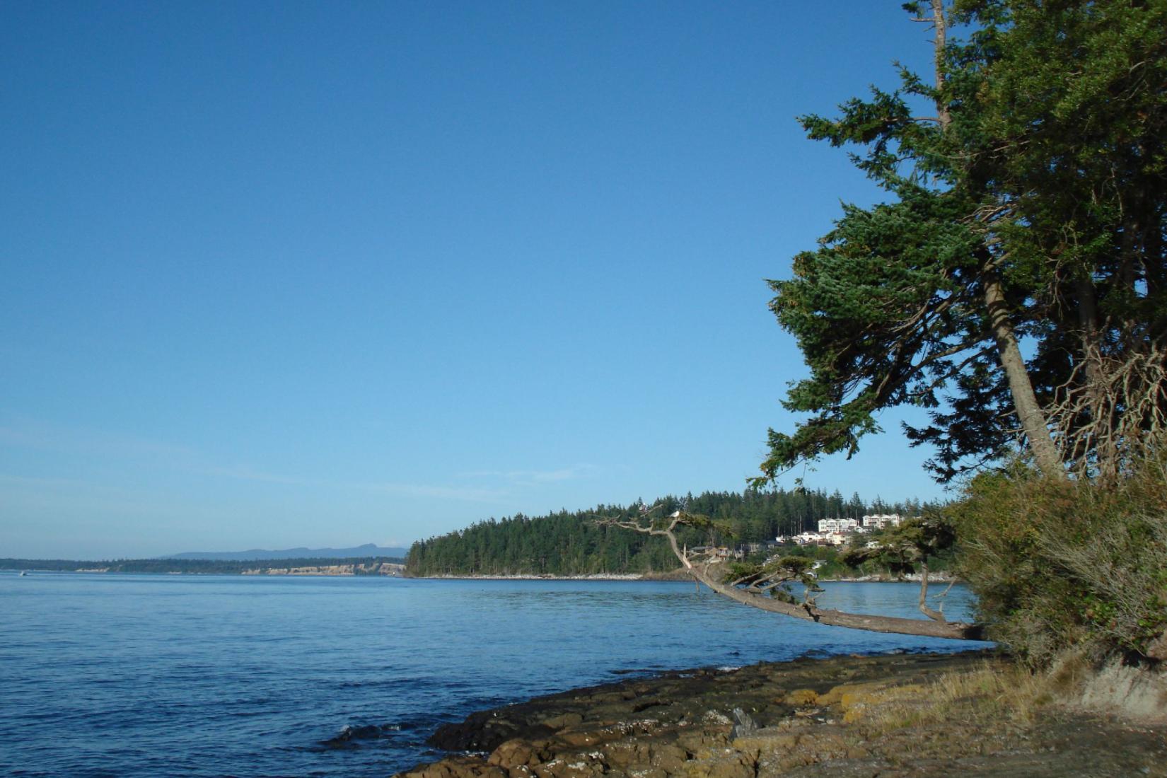 Sandee - HomePage / Anacortes