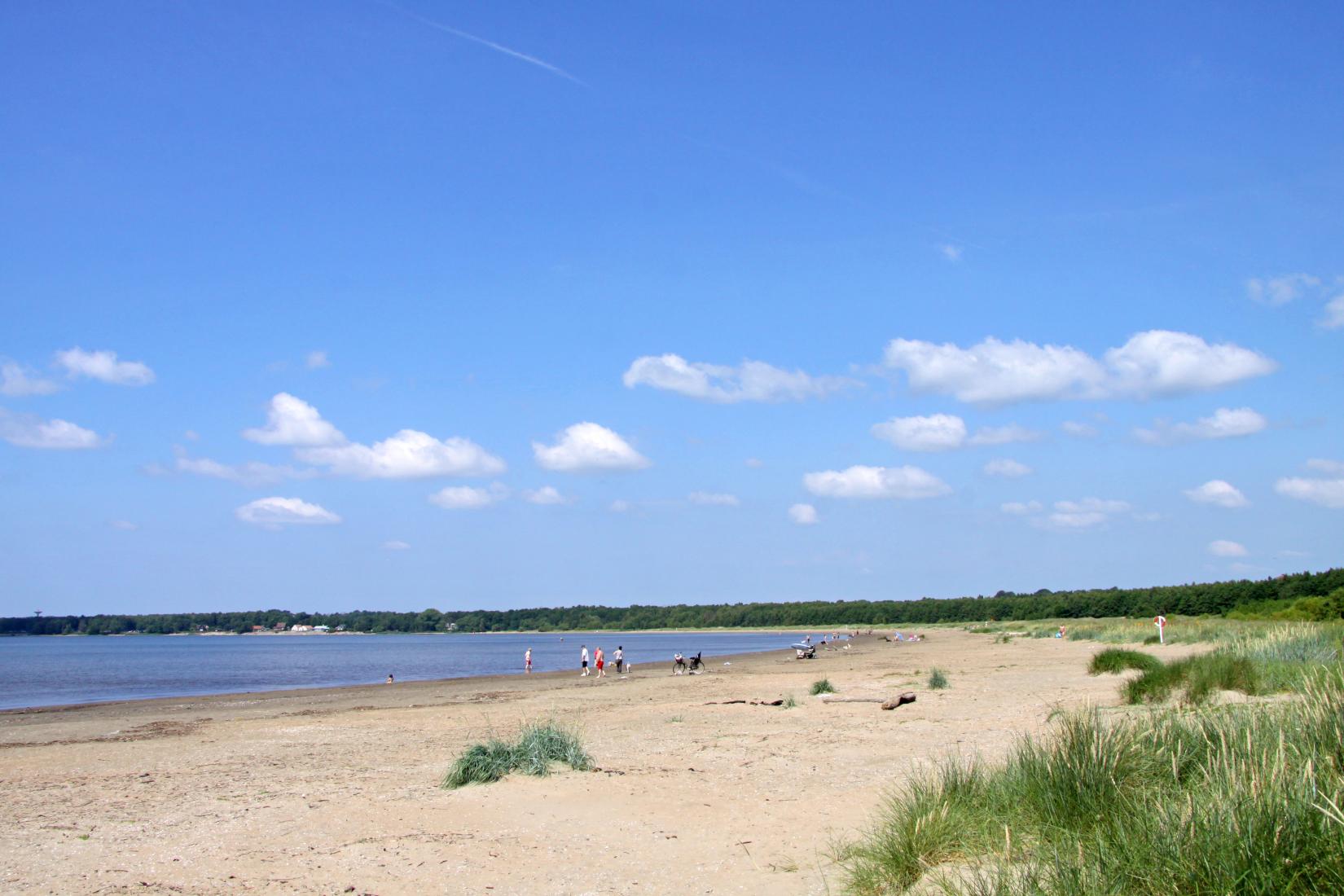 Sandee - HomePage / Halmstad