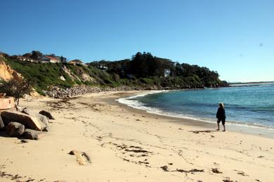 Sandee Cabbage Tree Harbour