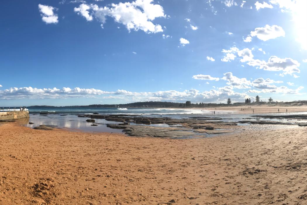 Sandee Narrabeen Beach