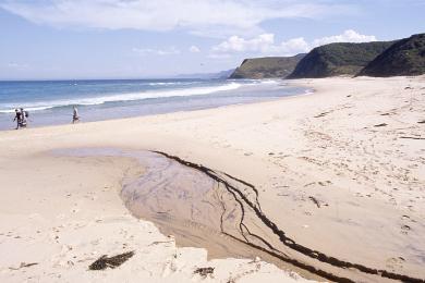 Sandee Garie Beach