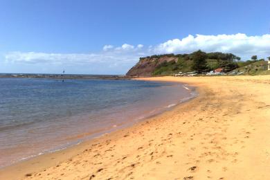 Sandee Long Reef Beach