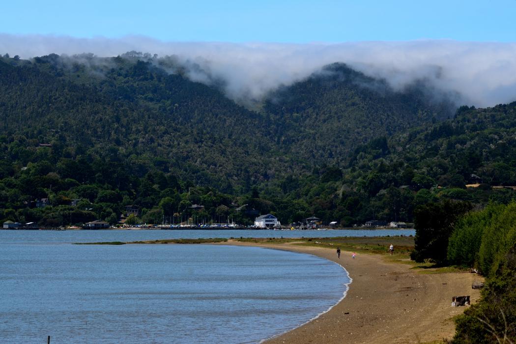Sandee Alan Sieroty Beach