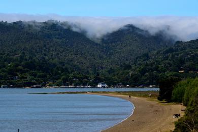 Sandee Alan Sieroty Beach