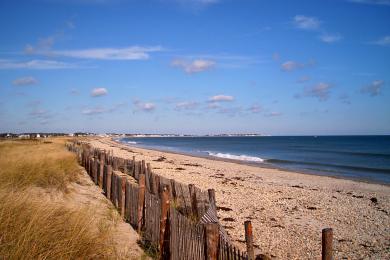 Sandee Duxbury Beach