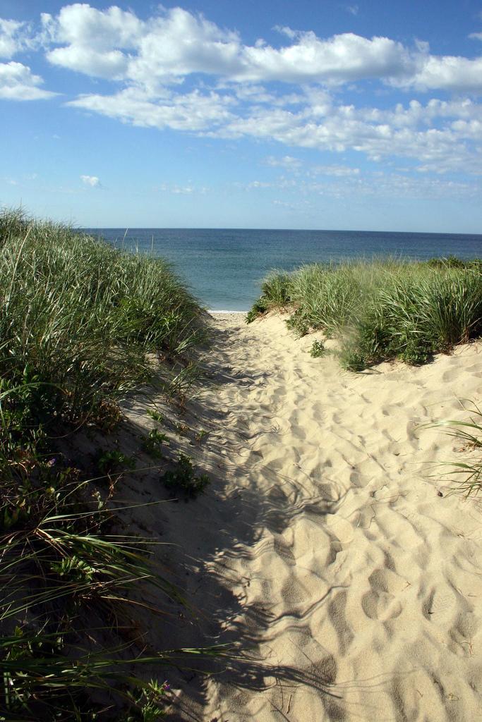 Sandee - HomePage / Nantucket
