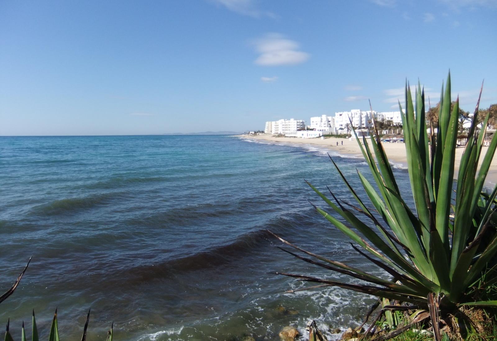 Sandee - HomePage / Hammamet