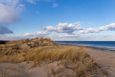 Sandee Plum Island