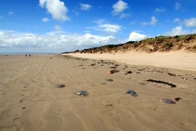 Sandee Cefn Sidan Beach
