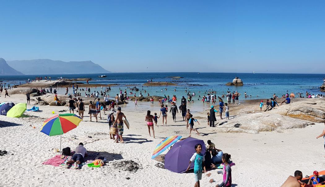 Sandee Simon's Town