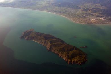 Sandee Paraparaumu Beach