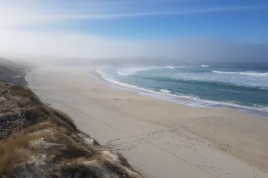 Sandee Hosta Beach