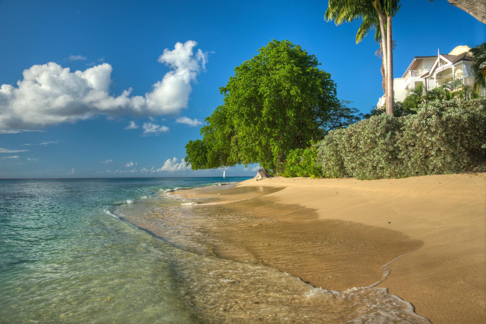 Sandee - HomePage / Holetown