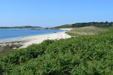 Sandee Apple Tree Beach