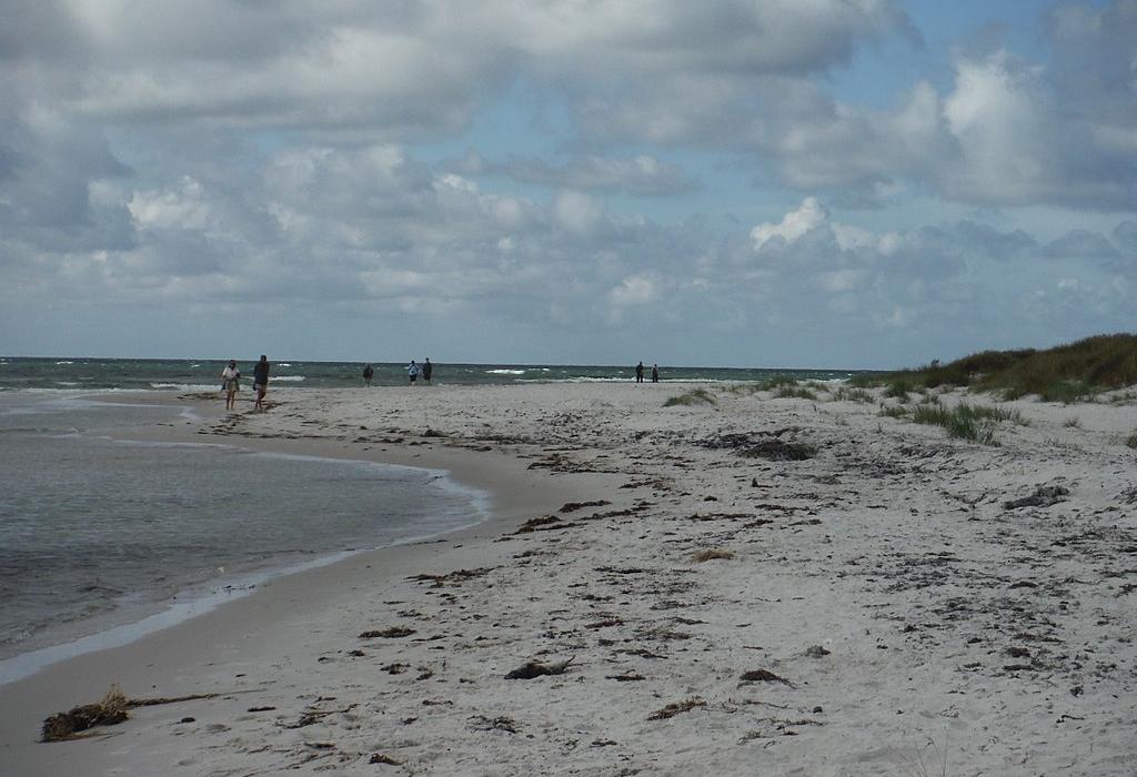Sandee Dueodde Beach
