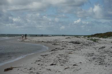 Sandee Dueodde Beach