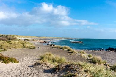 Sandee Skagen Strand
