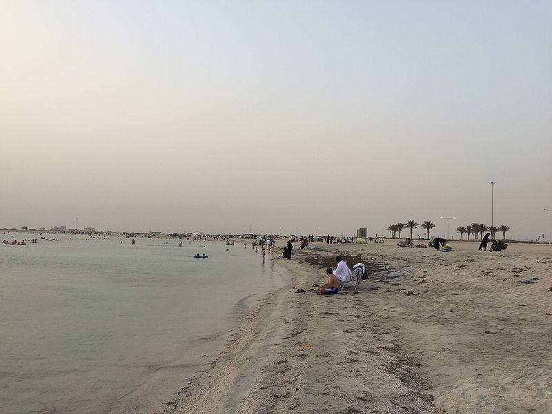 Sandee Dukhan Beach