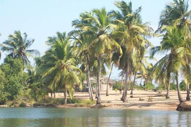 Sandee Ada Foah Beach