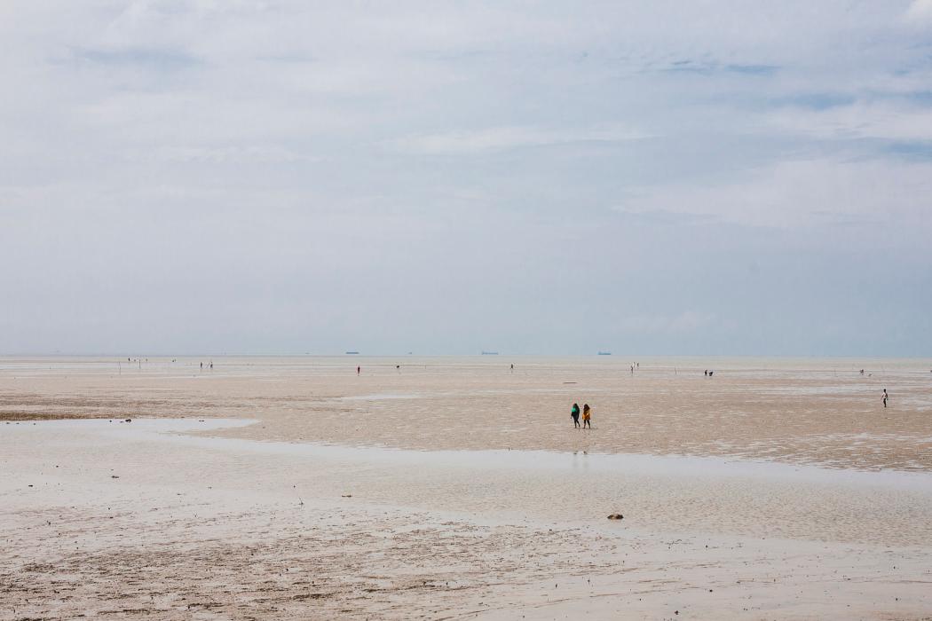 Sandee Morib Beach