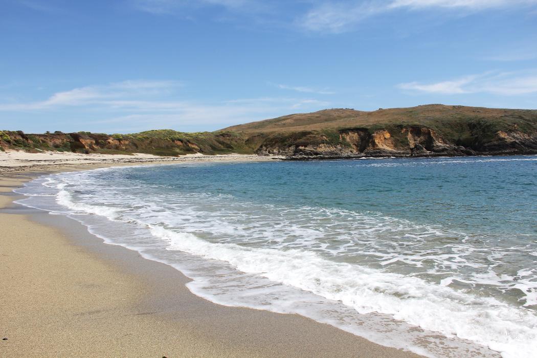 Sandee Bodega Bay Harbor