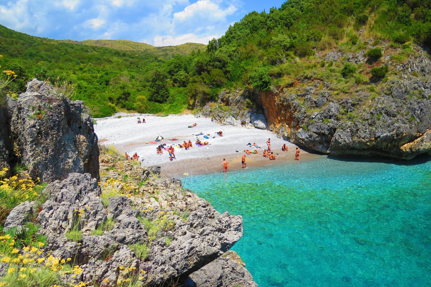 Sandee - HomePage / Campania