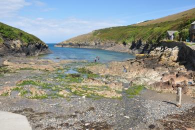 Sandee Port Quin Beach