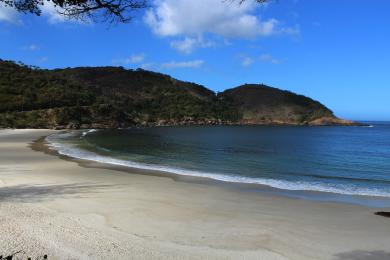 Sandee Praia Do Forte Do Rio Branco