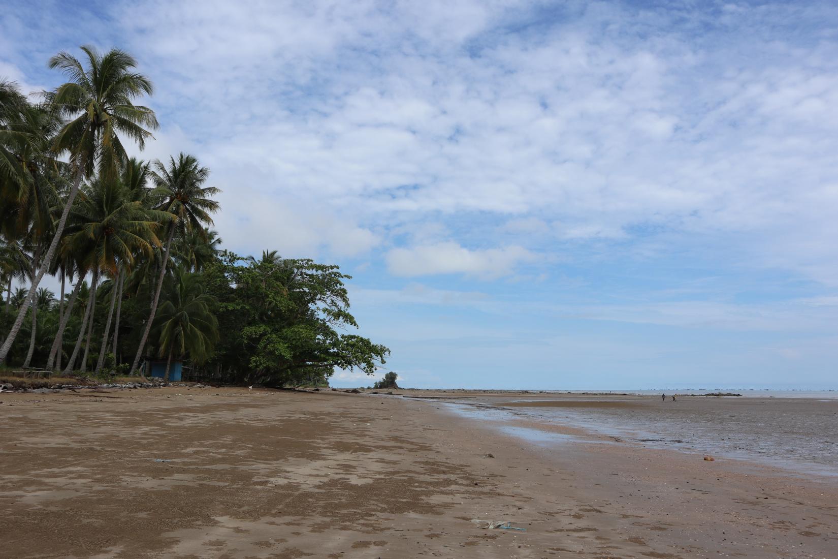 Sandee - HomePage / North Kalimantan