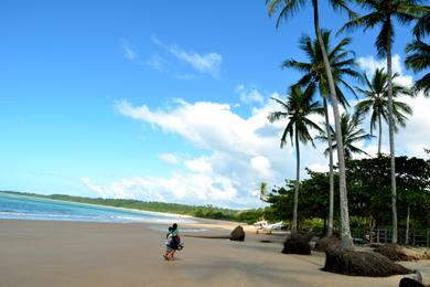 Sandee Praia Dos Coqueiros
