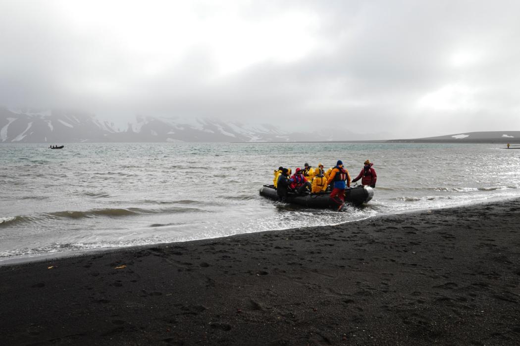 Sandee Deception Island