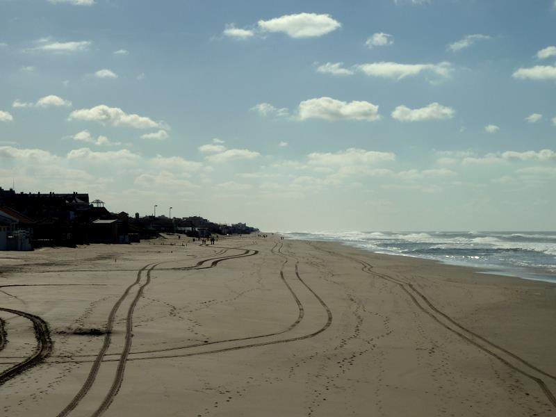 Sandee Cocodrilo Pinamar
