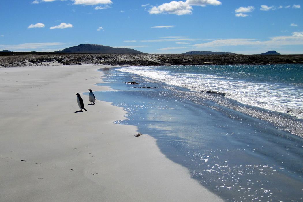 Sandee Bluff Cove Lagoon