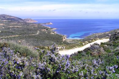 Sandee Plage De L'Alga