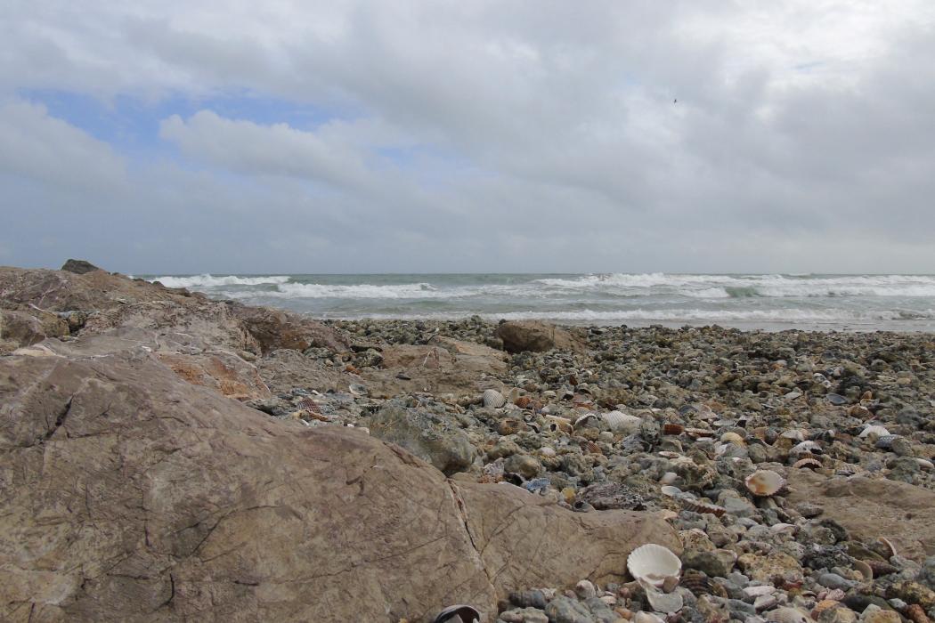 Sandee Plage Des Aresquiers