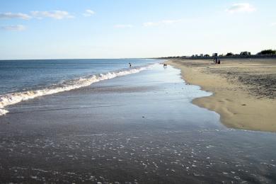 Sandee Marseillan Plage