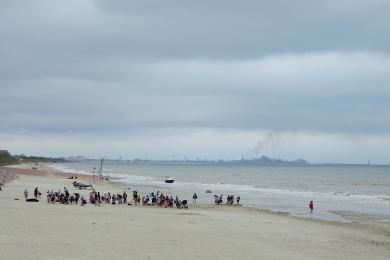 Sandee Plage Centrale A Bray-Dunes